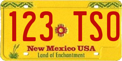 NM license plate 123TSO