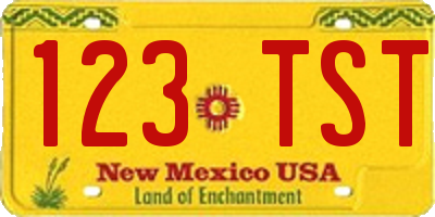 NM license plate 123TST