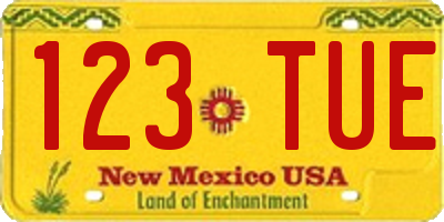 NM license plate 123TUE