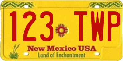 NM license plate 123TWP
