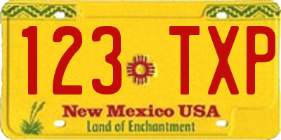 NM license plate 123TXP