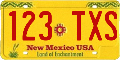 NM license plate 123TXS