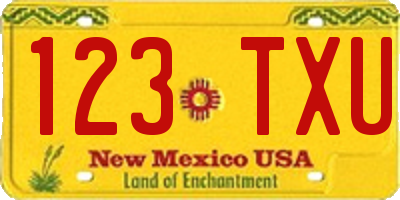 NM license plate 123TXU