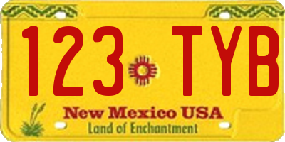 NM license plate 123TYB