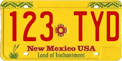 NM license plate 123TYD