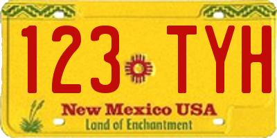 NM license plate 123TYH