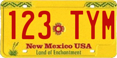 NM license plate 123TYM