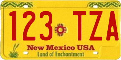NM license plate 123TZA