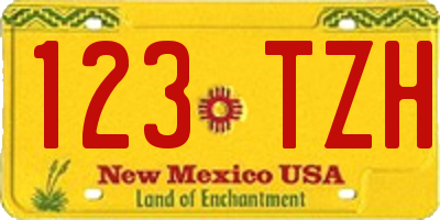 NM license plate 123TZH