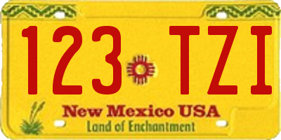 NM license plate 123TZI