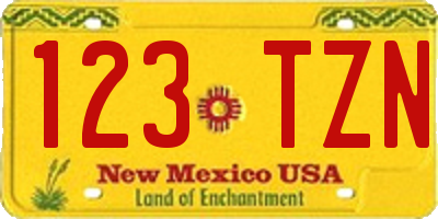 NM license plate 123TZN
