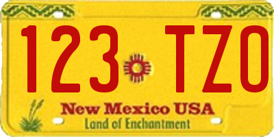 NM license plate 123TZO