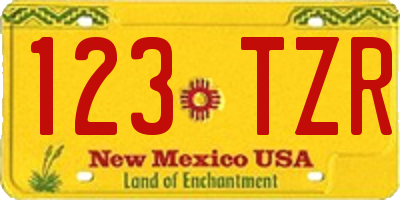 NM license plate 123TZR