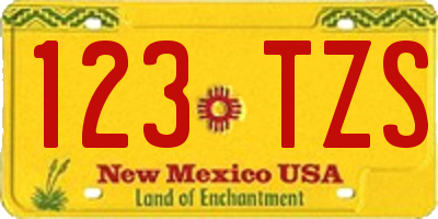 NM license plate 123TZS