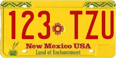 NM license plate 123TZU