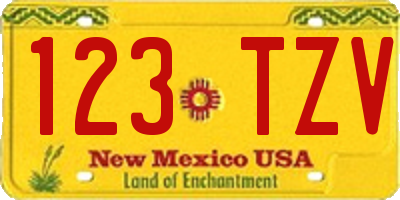 NM license plate 123TZV