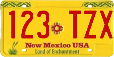 NM license plate 123TZX