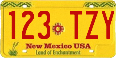 NM license plate 123TZY