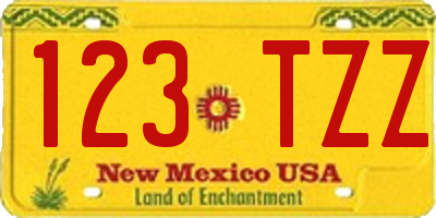 NM license plate 123TZZ