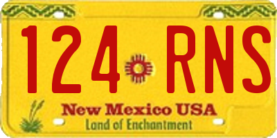 NM license plate 124RNS