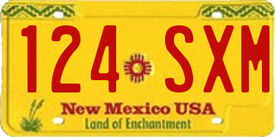 NM license plate 124SXM