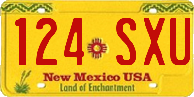 NM license plate 124SXU