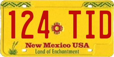 NM license plate 124TID