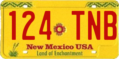 NM license plate 124TNB