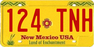 NM license plate 124TNH