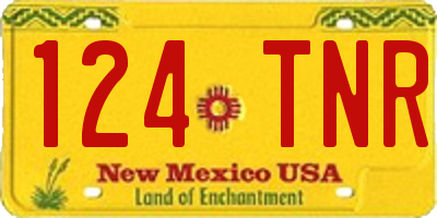 NM license plate 124TNR