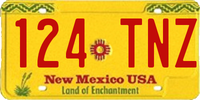 NM license plate 124TNZ