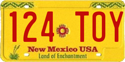 NM license plate 124TOY