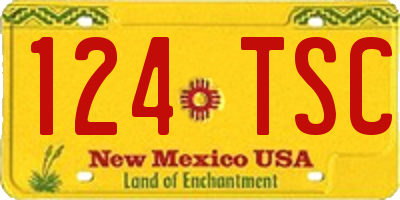 NM license plate 124TSC