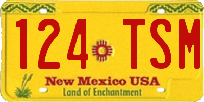 NM license plate 124TSM