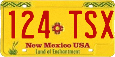 NM license plate 124TSX