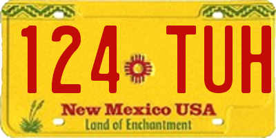 NM license plate 124TUH