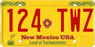 NM license plate 124TWZ