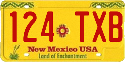 NM license plate 124TXB