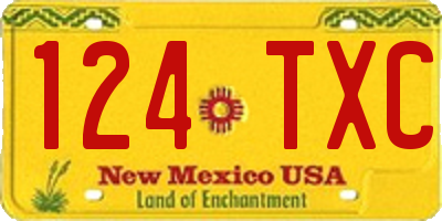 NM license plate 124TXC