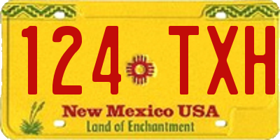 NM license plate 124TXH