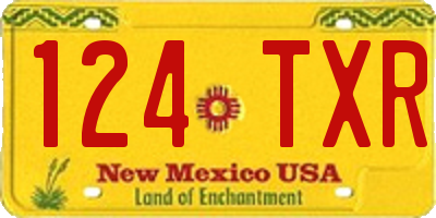 NM license plate 124TXR