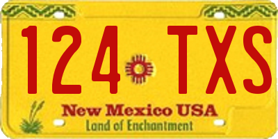 NM license plate 124TXS