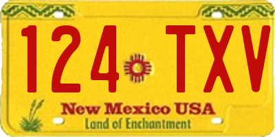 NM license plate 124TXV