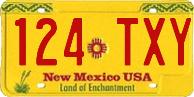 NM license plate 124TXY