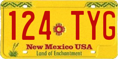 NM license plate 124TYG