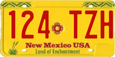 NM license plate 124TZH
