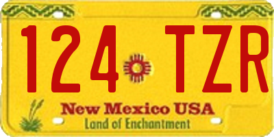 NM license plate 124TZR