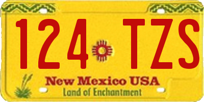 NM license plate 124TZS