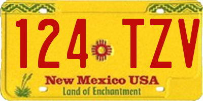 NM license plate 124TZV