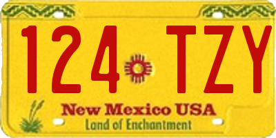 NM license plate 124TZY